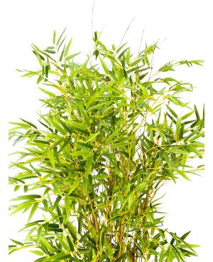 Plante Artificielle Bambou - H 155cm