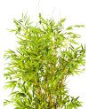 Plante Artificielle Bambou - H 155cm