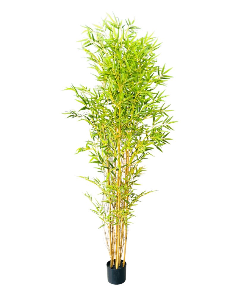 Plante Artificielle Bambou - H 185cm