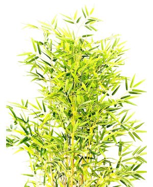 Plante Artificielle Bambou - H 185cm