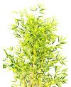 Plante Artificielle Bambou - H 185cm