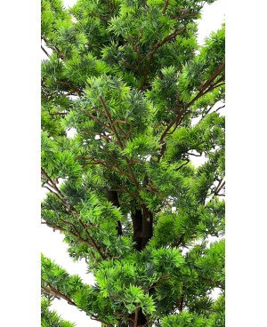 Arbre Artificiel - H 2M