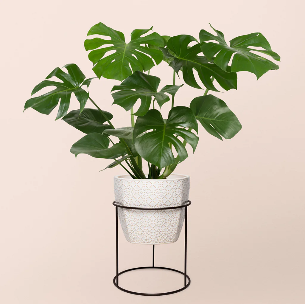 plante artificielle décoration